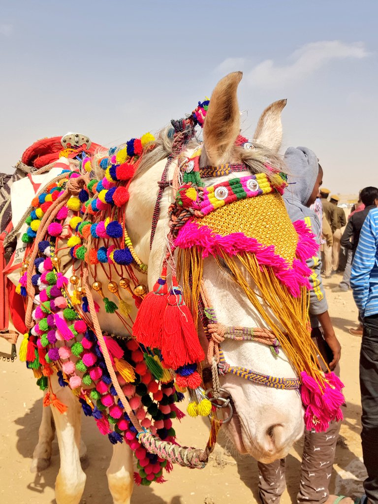 ararewoman's tweet photo. @gfreetraveler @Giselleinmotion @CharlesMcCool @LiveaMemory @perthtravelers Thank. Here's some more
#Top4Themed #Top4Festivals https://t.co/UDdNpmyu6B