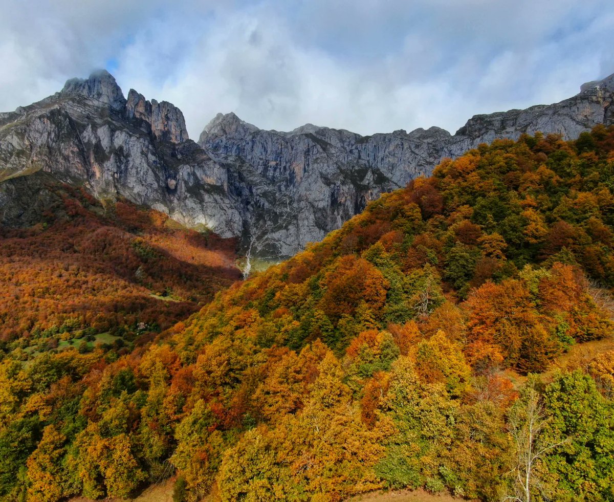 🔸Días de fuertes vientos y lluvias en Picos en una de las épocas más espectaculares del año!! 🌬️🌦️🍂🍄⛰️ <a href="/cant_infinita/">Cantabria Infinita</a>
<a href="/Postureo_CANT/">Postureo Cántabro 💢 Presume de Cantabria</a>

#PicosdeEuropa #CantabriaInfinita
#landscape #montaña #otoño #autumn #mountain #trekking #trailrunning #adventure #milletmountain