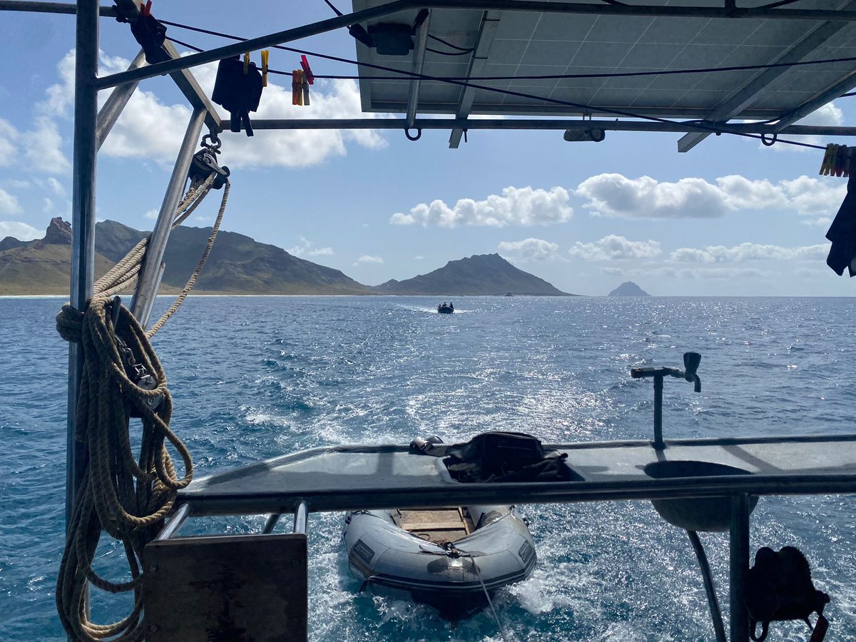 After some hectic flight cancellations, we have (nearly all) arrived in Cape Verde for the second Edinburgh Ocean Leaders field mission ! 
 
We are looking forward to a week of learning, team-building and getting in the ocean with the 2022 #OceanLeaders