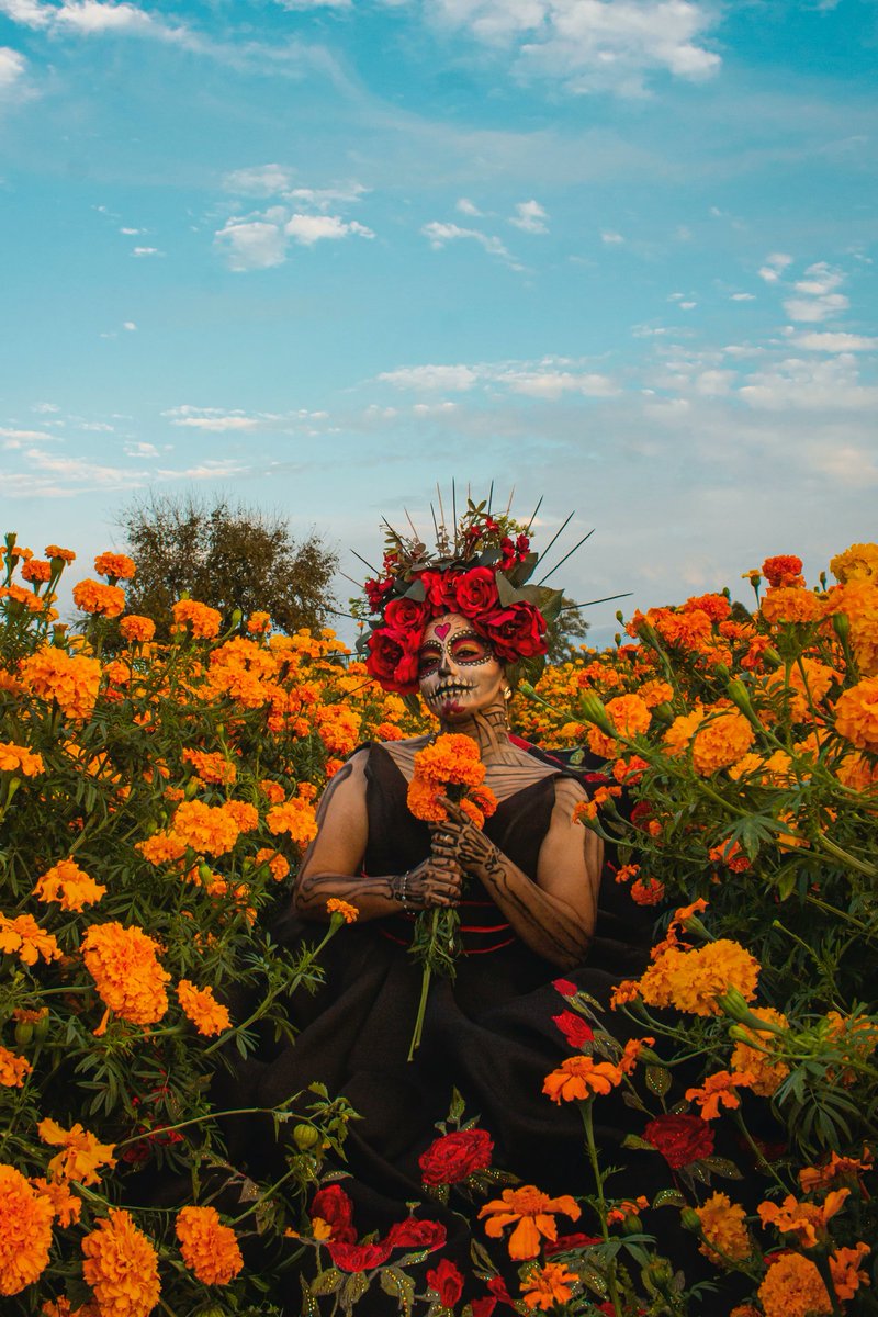 insta_Hop's tweet photo. Halloween &amp; the day of the dead festivities are coming! How do you plan to celebrate? 

🎃 The Día de Los Muertos is celebrated from October 31 (Halloween) until November 2. ✨ Through traditional art and festivities, the lives of the past are celebrated ✨ https://t.co/x3P5GJ6qpo