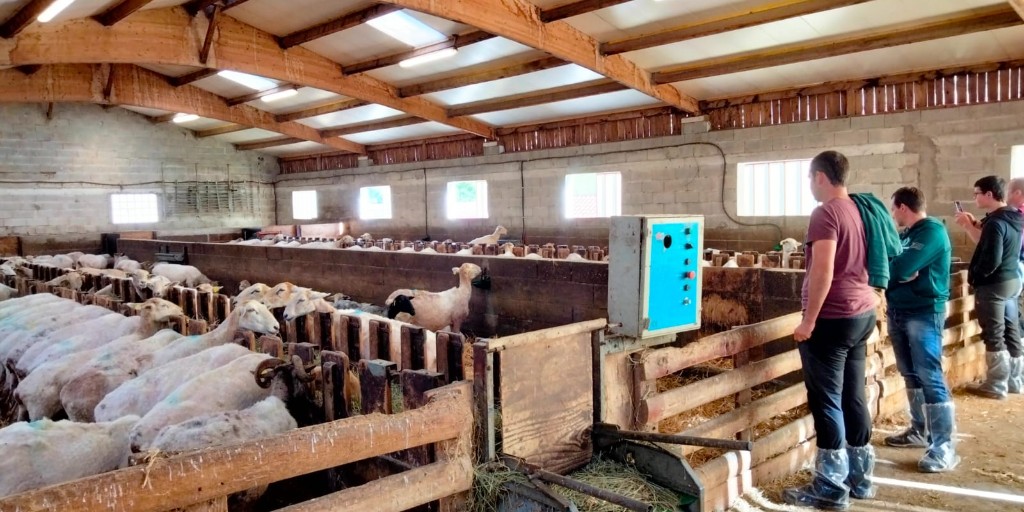 IntiaSa's tweet photo. En colaboración con #ASLANA, pudimos conocer el trabajo que desarrollan con la raza Manech al otro lado de la muga. Una visita a la que acudieron personas vinculadas con el sector y personal técnico que trabaja en la mejora genética de razas autóctonas.

➡https://t.co/Wv4zktblD7 https://t.co/m9g1y3P450