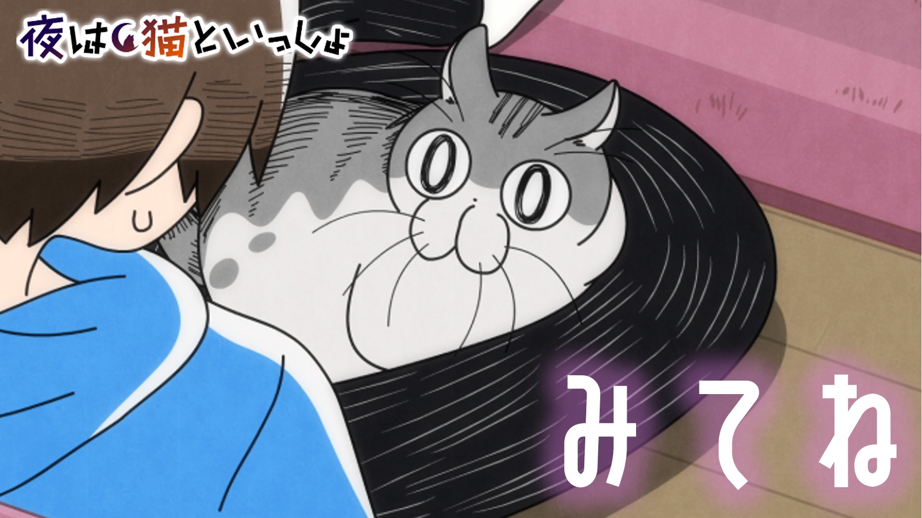アニメ 夜は猫といっしょ 公式 毎週水曜に配信中 Yoruneko Pr Twitter