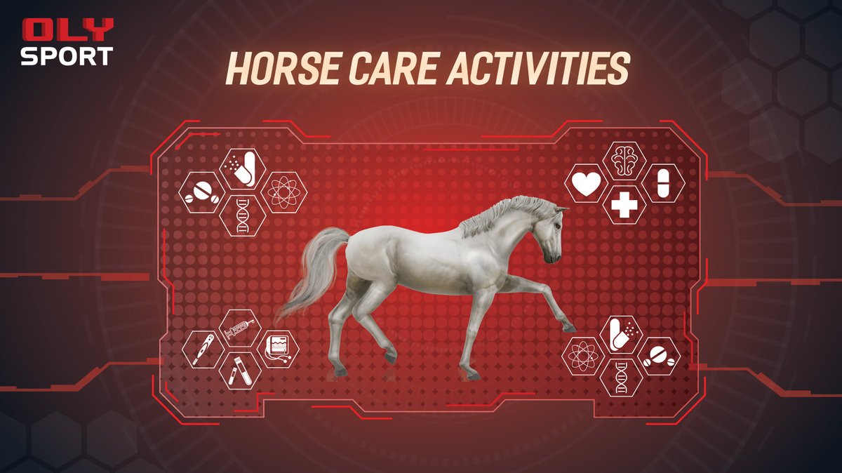 Besides of racing rewards, you can also earn additional values from horse care activities.
If you regularly take care of your horse, you can get extra coins, which can be used to upgrade the horse and help it increase the chances of winning.

Horse care is coming soon !!!