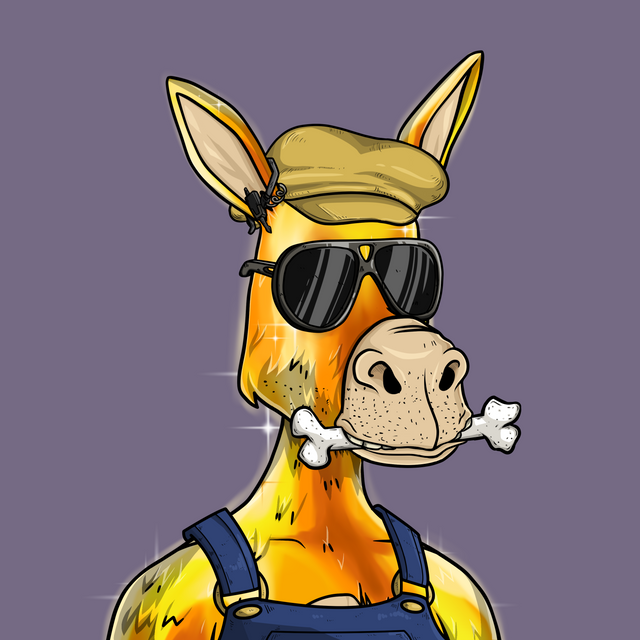 nftxmag's tweet photo. Proud &amp; happy to hold 2 of the best pfp arts in solana. @okaybears @dumbass_donkeys https://t.co/SUl1XhBI35