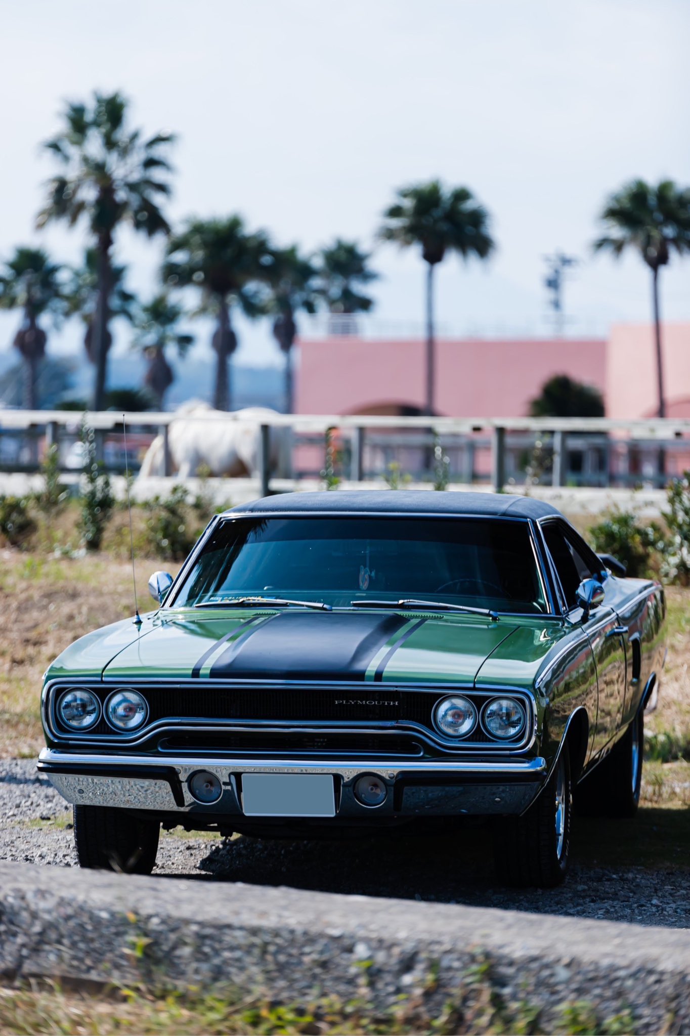 Yachocha 6ix8ightt Twitter