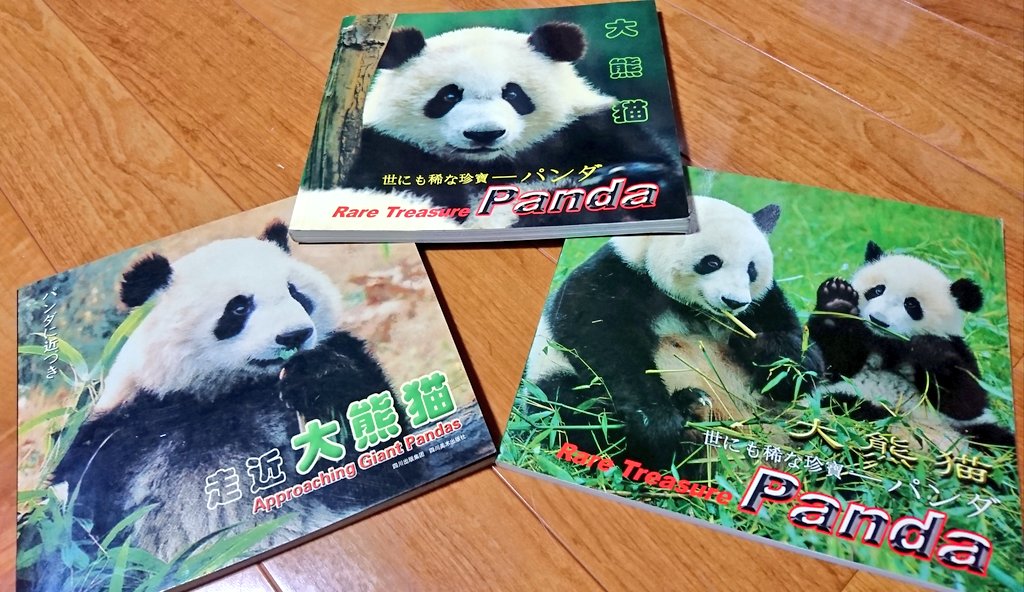 革14 大パンダ、ジャイアントパンダ、大熊猫FDC aljaser.com.bh