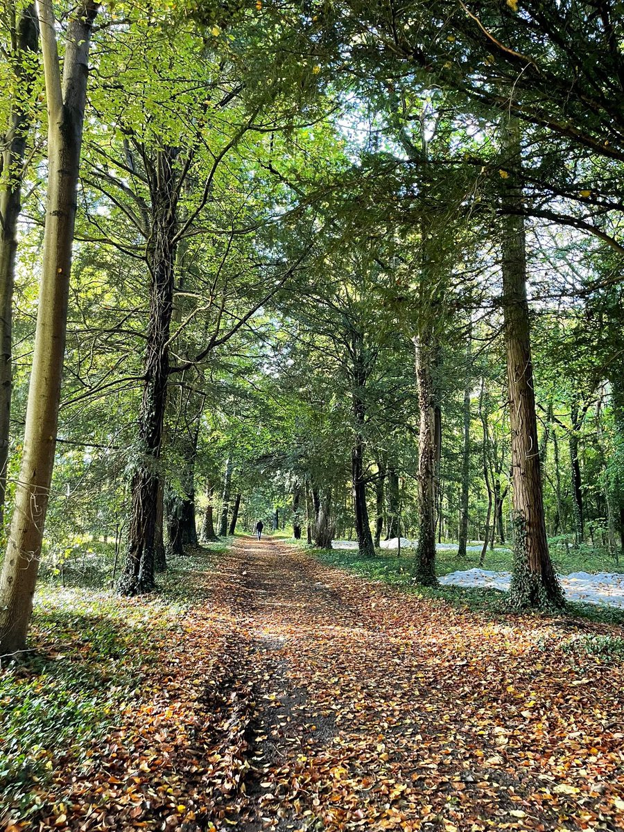 janelottering's tweet image. Gorgeous #Cotswolds 💚