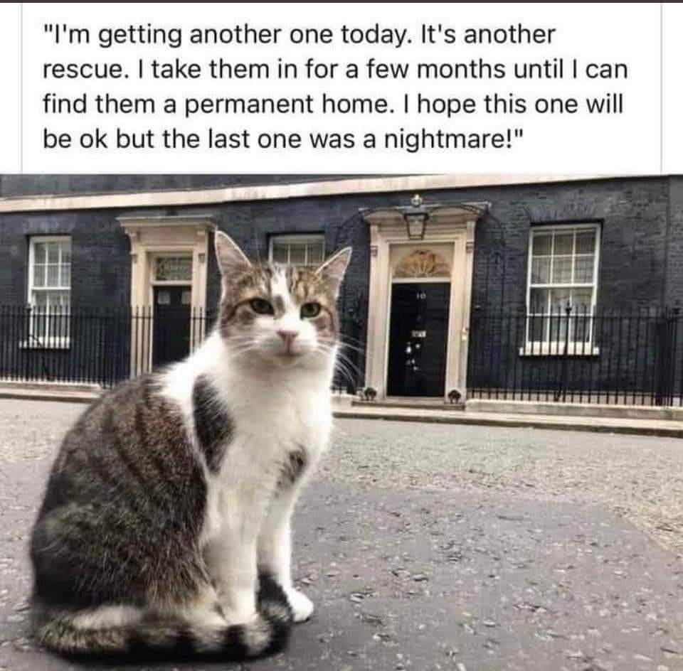 RoeBill's tweet photo. Quote of the day https://t.co/t6etcNdlKH