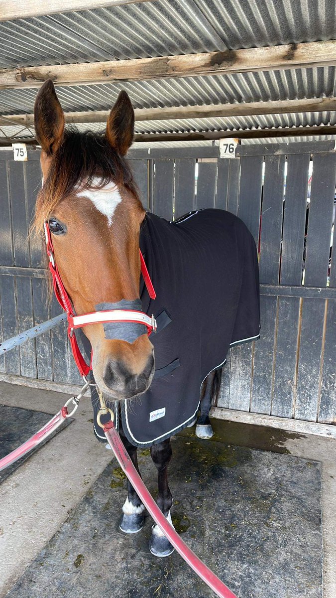 obrienracingvic's tweet photo. 🐎RACING!🐎

Tomorrow night @ Bendigo

🔵 Blake Bolac - R3 @ 6.09 #10  - Alford

🟣 Im Princess Bella - R4 @ 6.37 #7  - David Murphy

🎀 Evie Beautiful - R5 @ 7.10 #4 - Alford

🟢 Tarifa Girl - R6 @ 7.44 #7 - Alford

🔴 Danceforme - R8 @ 8.52pm #1 - Lachie Cook

@ChrisAlford5000 https://t.co/Y3XoUY6ZGg