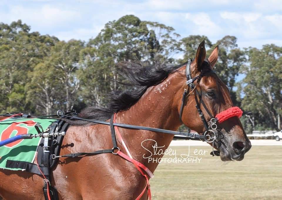 obrienracingvic's tweet photo. 🐎RACING!🐎

Tomorrow night @ Bendigo

🔵 Blake Bolac - R3 @ 6.09 #10  - Alford

🟣 Im Princess Bella - R4 @ 6.37 #7  - David Murphy

🎀 Evie Beautiful - R5 @ 7.10 #4 - Alford

🟢 Tarifa Girl - R6 @ 7.44 #7 - Alford

🔴 Danceforme - R8 @ 8.52pm #1 - Lachie Cook

@ChrisAlford5000 https://t.co/Y3XoUY6ZGg