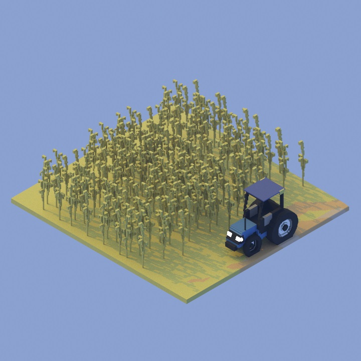 Cornfield Created and path traced in #Avoyd Voxel Editor Free models download github.com/enkisoftware/v… #voxel #voxelart #isometric #rendering #3DCG