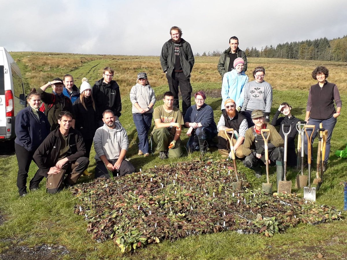 Thanks to <a href="/BridgendCollege/">Coleg Penybont | Bridgend College</a> conservation volunteers and local landowner for planting 1,000+ scabious plugs on Saturday to help restore a marshy grassland in Tonyrefail. Restoring habitat in the landscape is the best way to secure the future for marsh fritillary locally. Thank you.