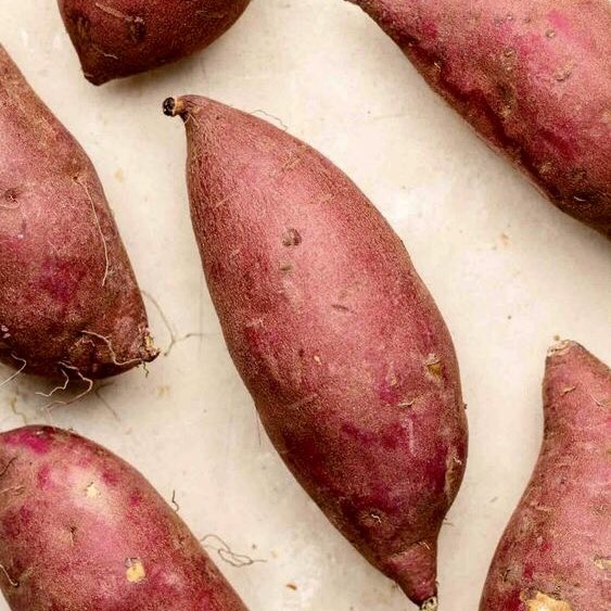 VidayComida's tweet photo. 🍠✨ “De la naturaleza
lo mejor en cada época.”
#detemporada
#vidaycomida
#realfood https://t.co/3wPicpILaq