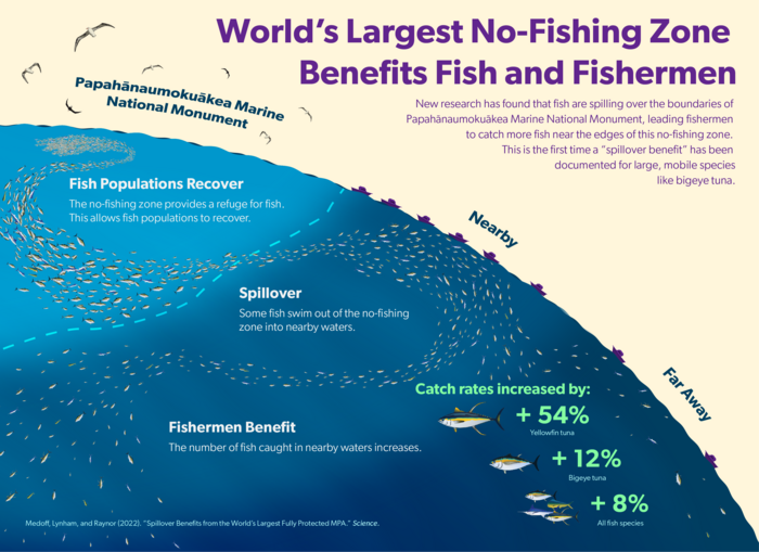 SANCORcommunity's tweet photo. New research shows that large Marine Protected Areas can lead to recovery of migratory species.

This is the first documented spillover benefits for large, mobile species like bigeye tuna 🎨S. Medoff 
#MPA @ScienceMagazine
https://t.co/BzRUoprV19 https://t.co/NeXUCKwaOl