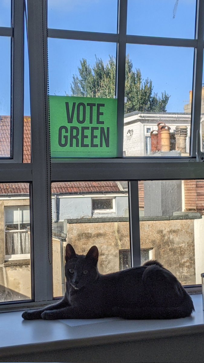 Goose will for the next year be advertising the people of Hove voting Green.