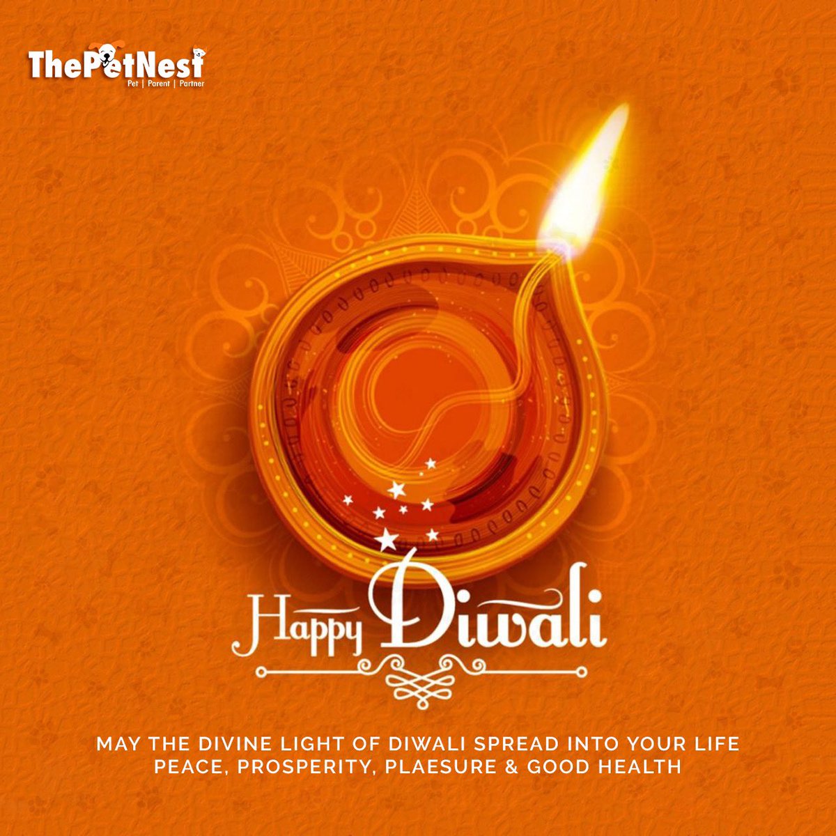 ThePetNest Family wishes everyone a very Happy Diwali!🪔🪔
May this festival of lights bring lots of love and happiness in your life!✨✨
.
.
.
#thepetnest #wagwiththepetnest #pets #diwali #diwali2022 #diwalivibes #diwalidecor #petsofinstagram #petslife #petscorner