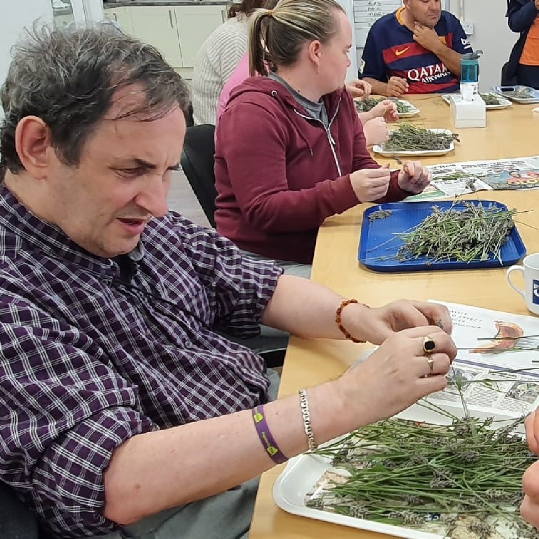 Papworth_Trust's tweet photo. Customers from Opportunities Without Limits Basildon prepared lavender stalks from the garden to make lavender bags.
#papworthtrust #lavendar #craftbags https://t.co/jjXxBXIUEt