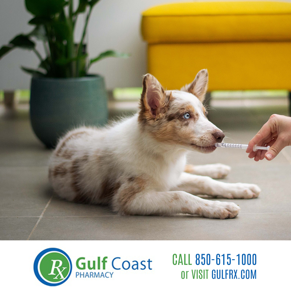Did you know we offer top-selling pet medications, foods, and supplies?

Stop by or give us a call to find out more.