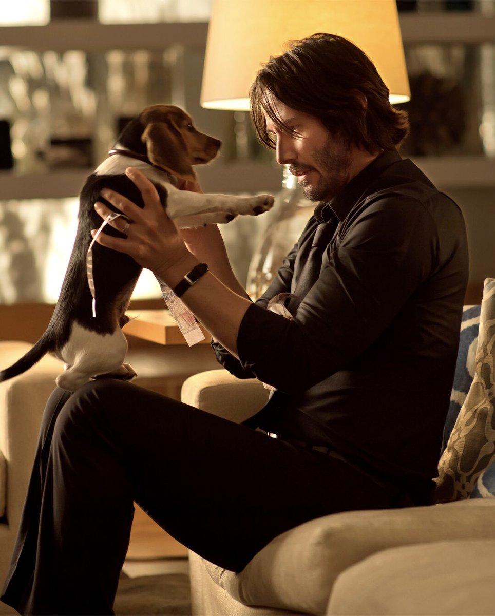 8 yıl önce bugün, yanlış bir adamın köpeği öldürüldü.