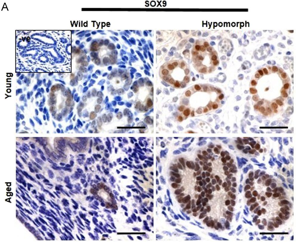 Journal of Molecular Endocrinology tweet media