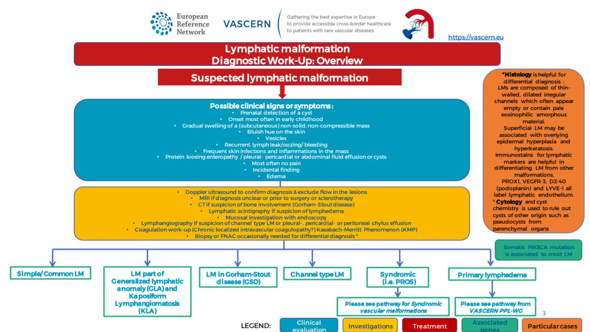 vascern's tweet photo. Do you suspect that a patient has lymphatic #malformation?
Have a look at our #patient pathway on #lymphaticmalformation to determine the most appropriate #treatment for patients.
Read & download here: https://t.co/iACucor7m0
#vascularanomalies #rarediseases #sharecarecure https://t.co/JmX5nqTSx7