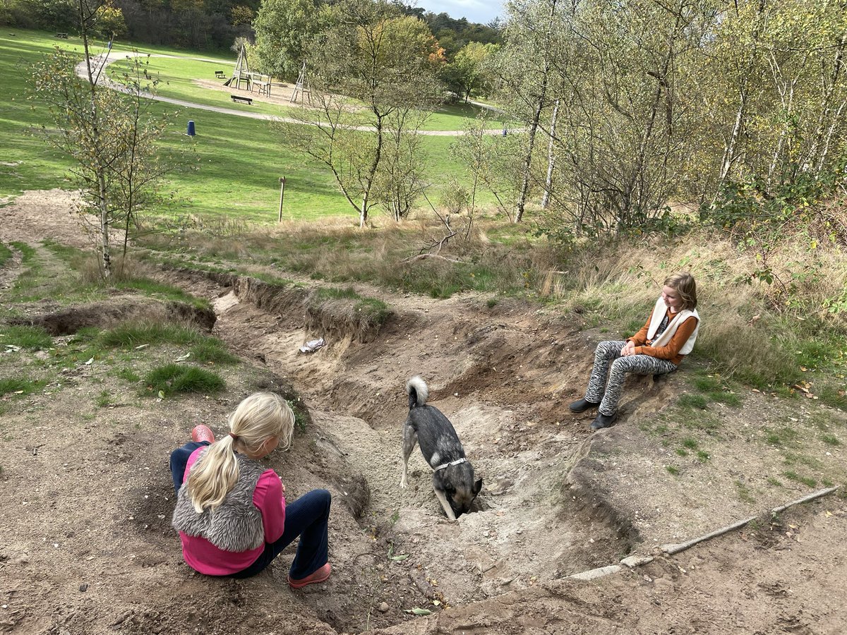 martinewoude's tweet photo. Rondje Doornse Gat 🍄 🐕 👧 👧 https://t.co/u41ulZ4qOU