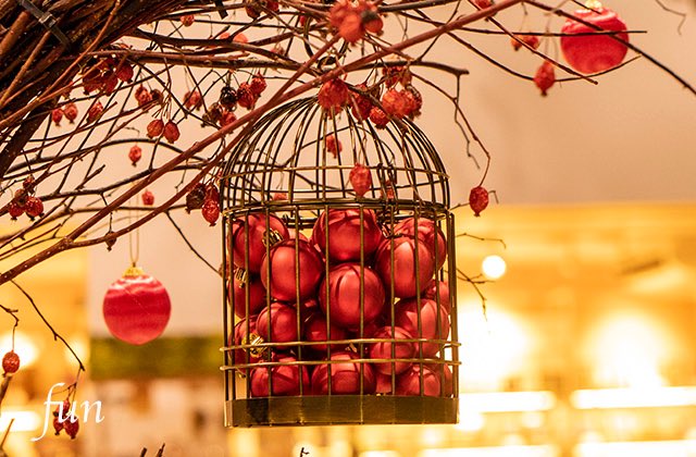 フリー写真素材配信中 Photo Funfun Twitter フリー写真素材配信中 Photo Funfun Twitter