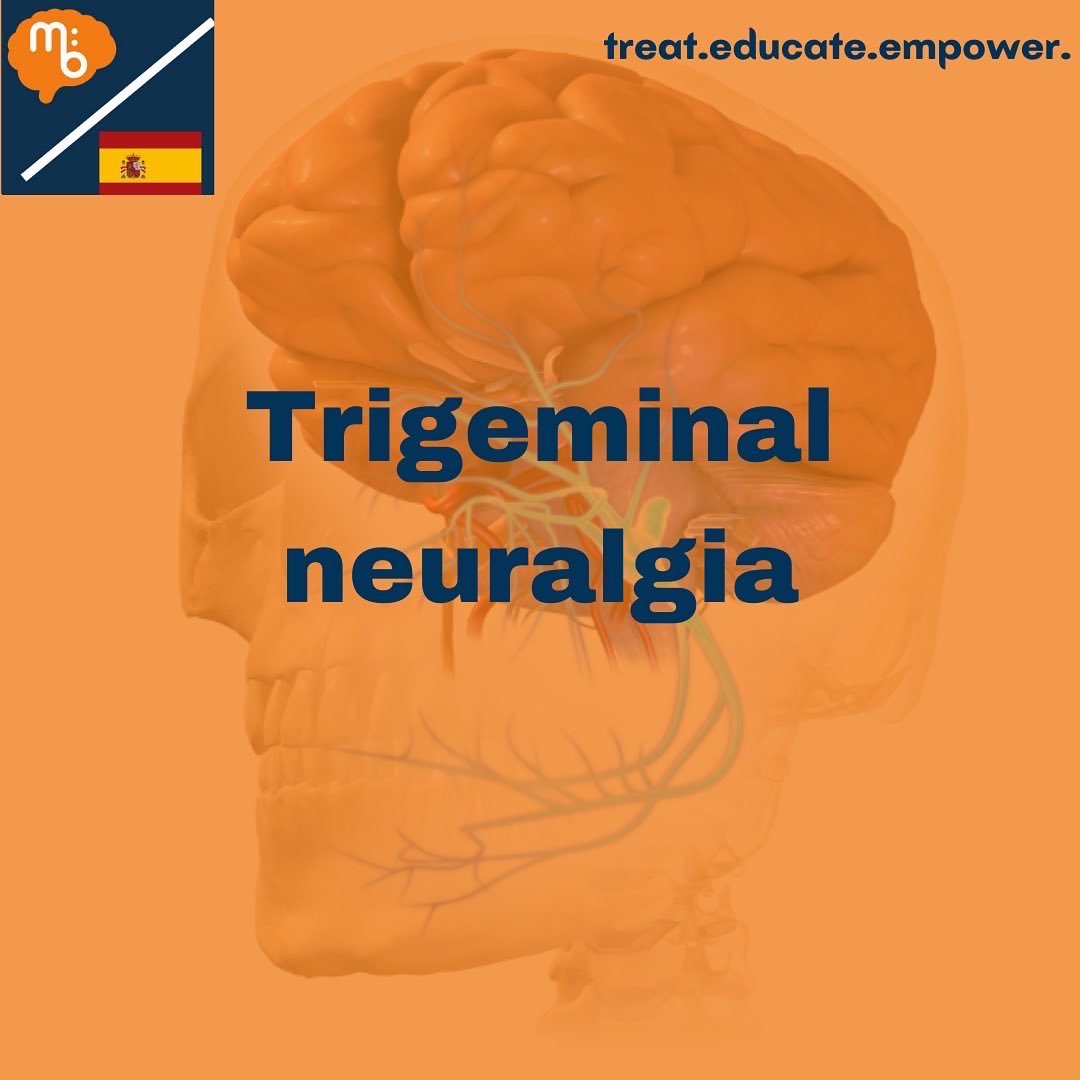 Mission:Brain Complutense tweet media