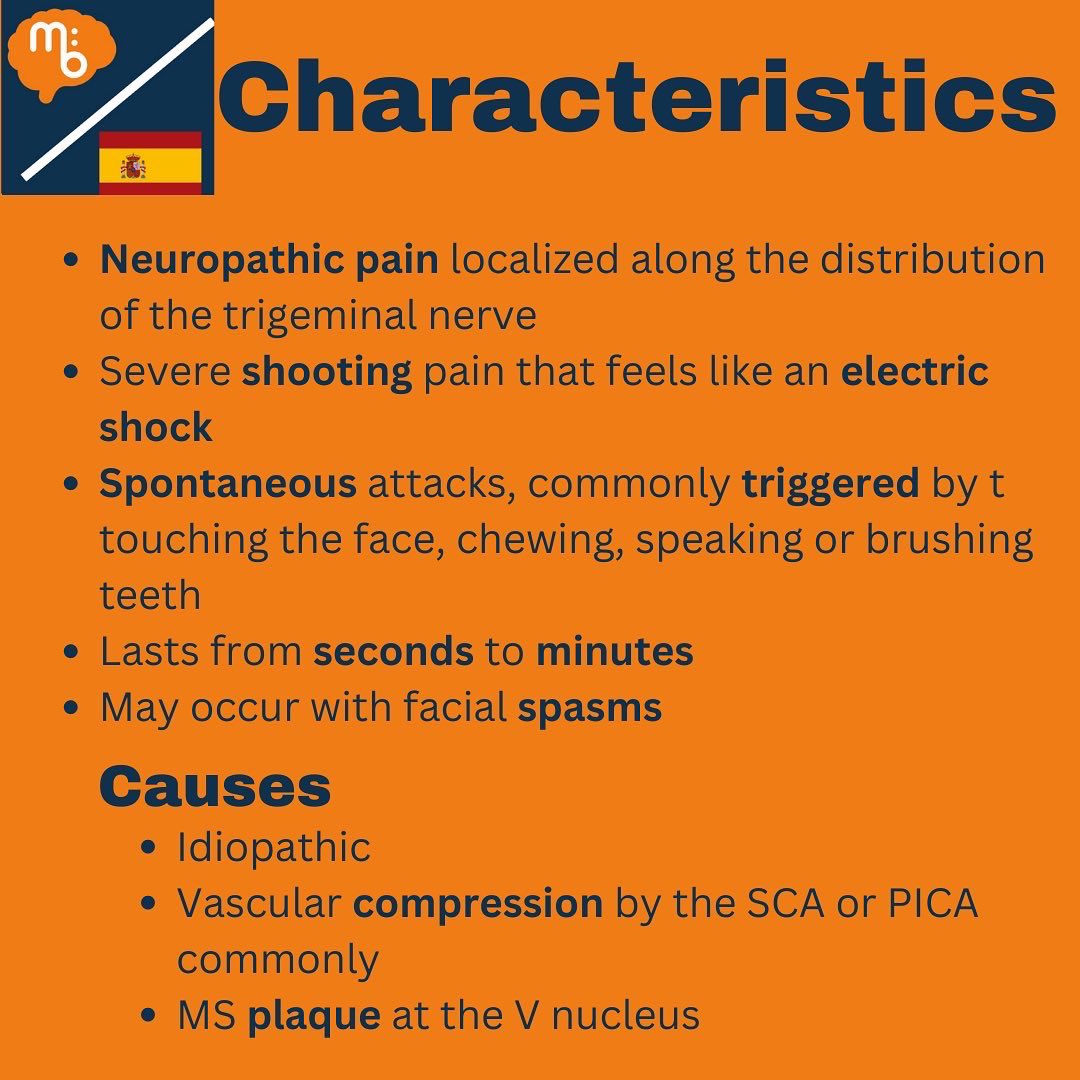 Mission:Brain Complutense tweet media