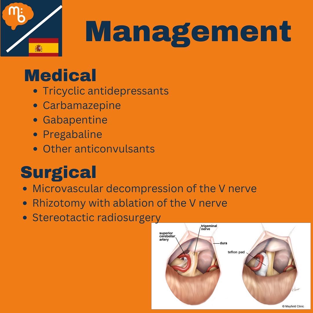 Mission:Brain Complutense tweet media