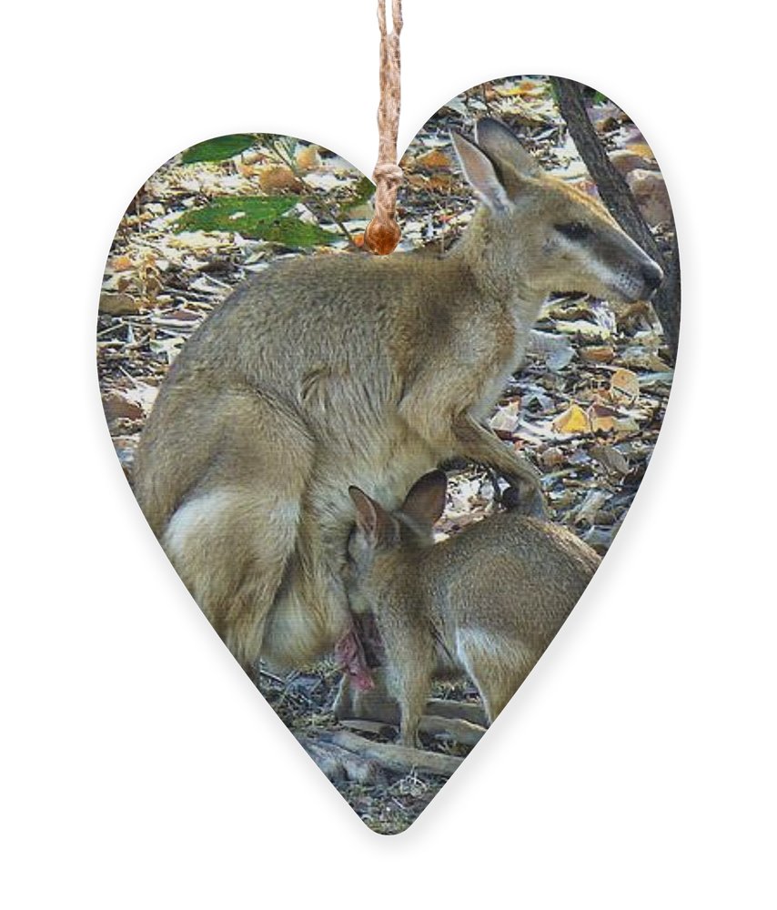 Today is #NationalKangarooAwarenessDay - I love kangaroos, they are so cute, so special & sometimes huge ;) Let's protect them!

kathrin-poersch.pixels.com/featured/kanga…

#BuyIntoArt #protectkangaroos #KangarooAwarenessDay #kangaroos #ornament #heartshaped #australianwildlife #WorldKangarooDay