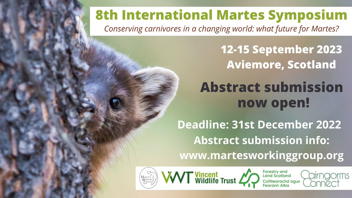 VWT, <a href="/MartesGroup/">Martes Working Group</a>, <a href="/ForestryLS/">Forestry and Land Scotland</a> and <a href="/CairngormsCo/">Cairngorms Connect</a> are excited to be organising the next International Martes Symposium in Scotland in September 2023!
Do you have any research you'd like to share? Abstract submission is now open until 31st December!
➡️ martesworkinggroup.org/martes-symposi…