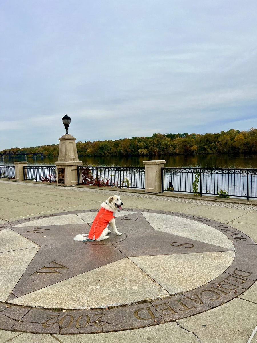 Thank you Heather Marianne &amp; Kodac for walking with us at Corning City Preserve. On 9J to Castle on Hudson. 69 miles to Poughkeepsie #Walk3