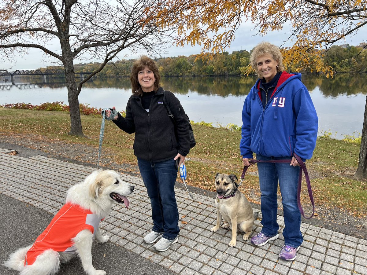 Luke Robinson, Yer Big Dog tweet media