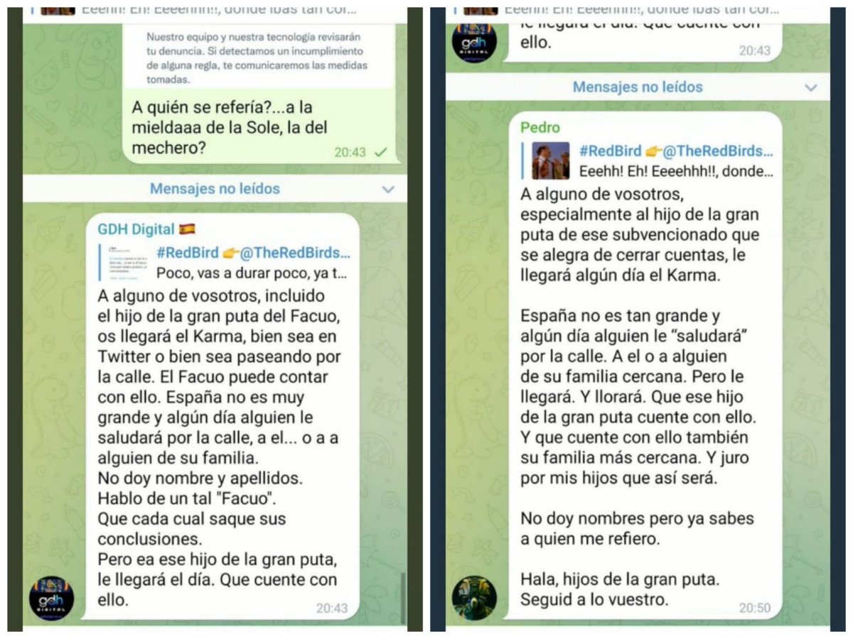 Un tuitero me avisó de que nos amenazaban a mi familia y a mí en el chat de un canal de Telegram. Tras 'GDH Digital' y 'Pedro' se esconde la misma persona. Un guardia civil retirado de Gijón que hoy trabaja como perito judicial. Voy a iniciar acciones penales contra este valiente