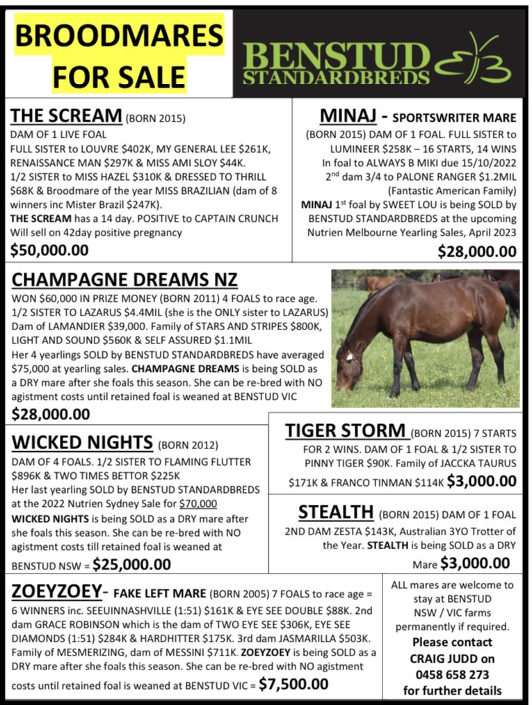 BenstudStandardbreds tweet media