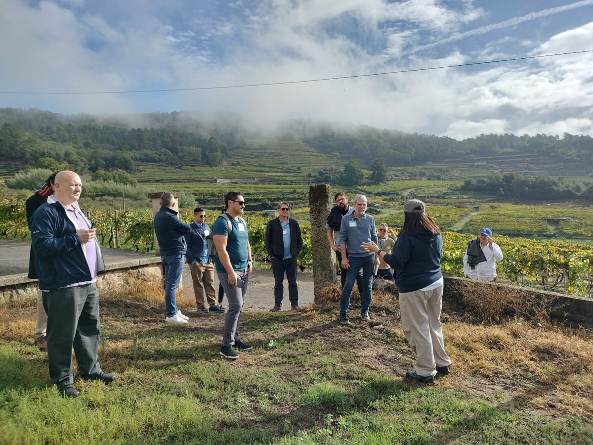 D.O. Ribeiro tweet media