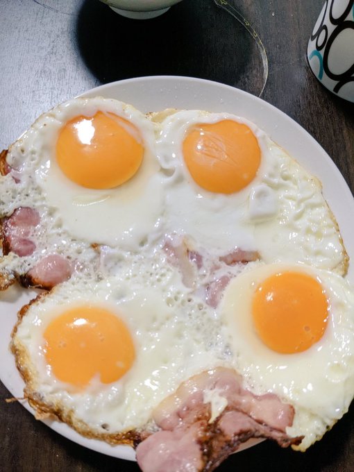 今日は卵割れんかった! 