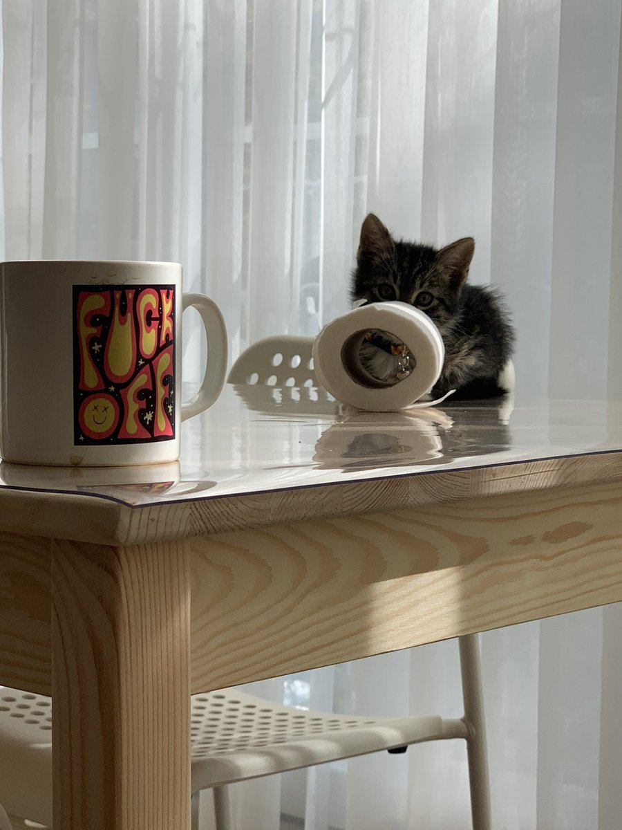 peçte kemiriom yakalamdım