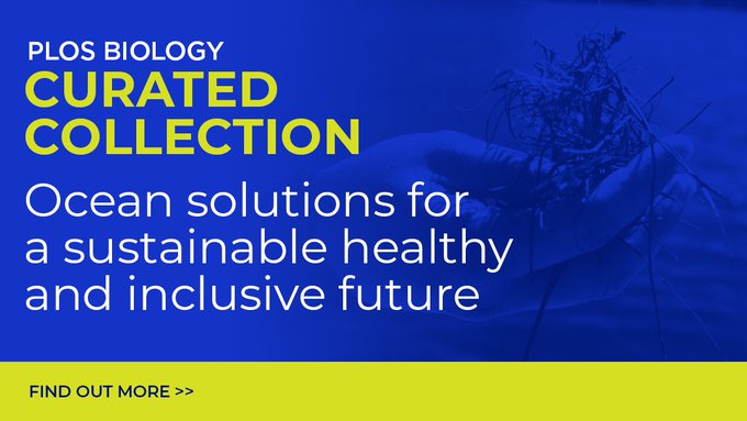 Check out our new #collection on Ocean solutions for a sustainable, healthy and inclusive future, guest edited by @SeaCitizens and @manu_ocean here: plos.io/3F4BDwt And read their editorial here: plos.io/3Tvazu5 #OceanSolutions