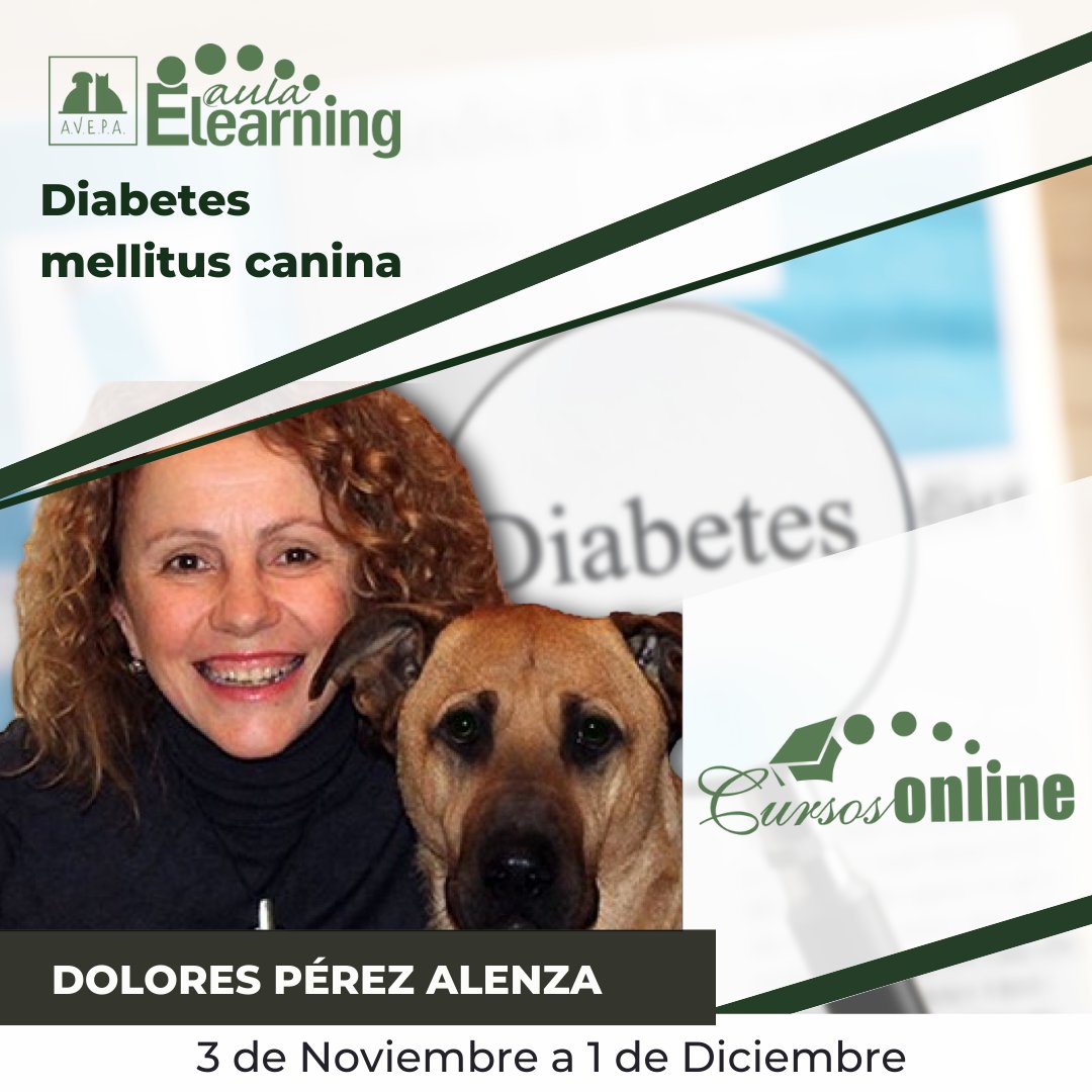AVEPA_vet's tweet photo. Del 3 de Noviembre al 1 de Diciembre en el #AulaElearning de AVEPA se realizará el #CursoOnline de #Diabetesmellituscanina.⁣ con Dolores Pérez Alenza.
Puedes ver el programa completo e inscribirte en el siguiente enlace: [https://t.co/p5LZbdcjfk]⁣ https://t.co/Lp4kP9Q9eg