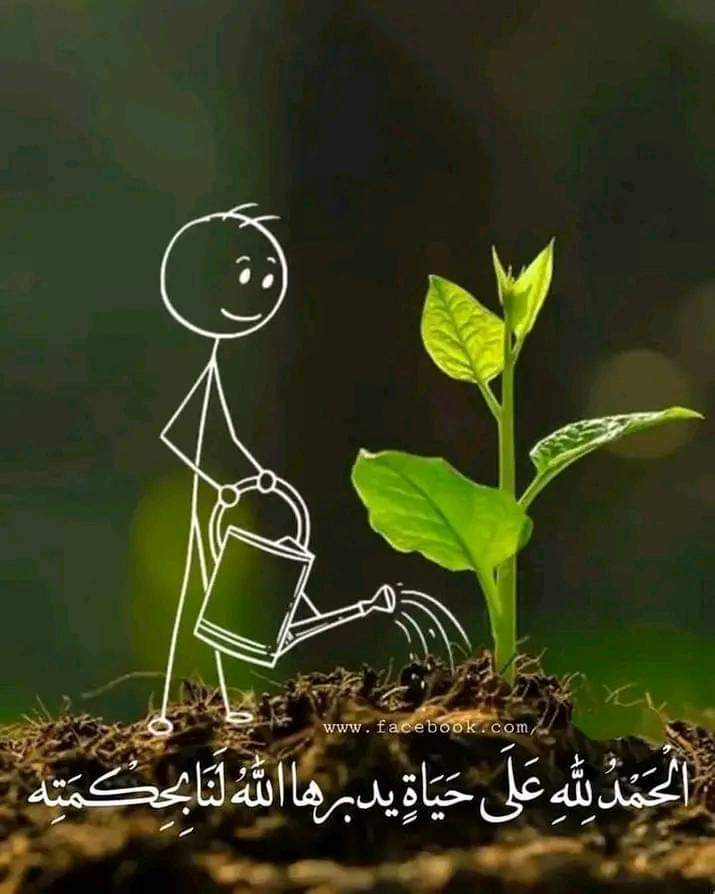 #صباح_الخيرᅠ

صباحي : يبدأ بحمداللہ على كل  
شيء باسمك يا الله نبدأ هذا اليوم  
فاعطنا خيرهہ و اكفنا شره 

صباح الخير . 💞

#موني