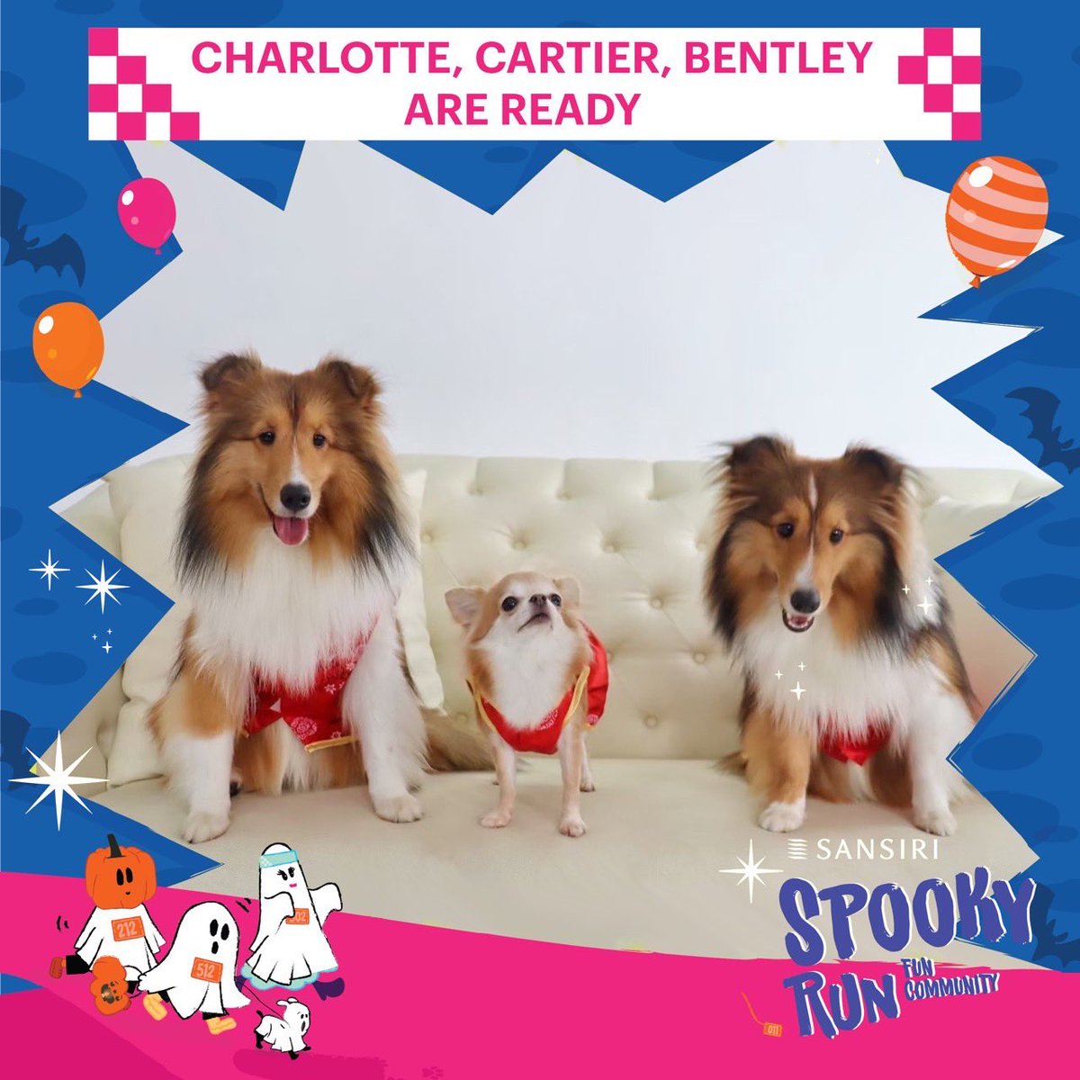 PetThonglor's tweet photo. พบกับปะป๊าBenzalertและสุดแสบ2B พร้อมกับน้อง Bentley Cartier Charlotteและน้องHaruto ได้ที่งาน Spookyrun Fun Community ฮัลโลวีนสุดน่ารักพร้อมการแข่งขันวิ่งมินิ “หมาระธอน” ที่จะจัดขึ้นวันอาทิตย์ที่ 30 ตุลาคมนี้ ที่แสนสิริ กรุงเทพกรีฑา คอมมูนิตี้

#ThonglorpetXSpookyrun
#Spookyrun https://t.co/2ZcjRVWysK