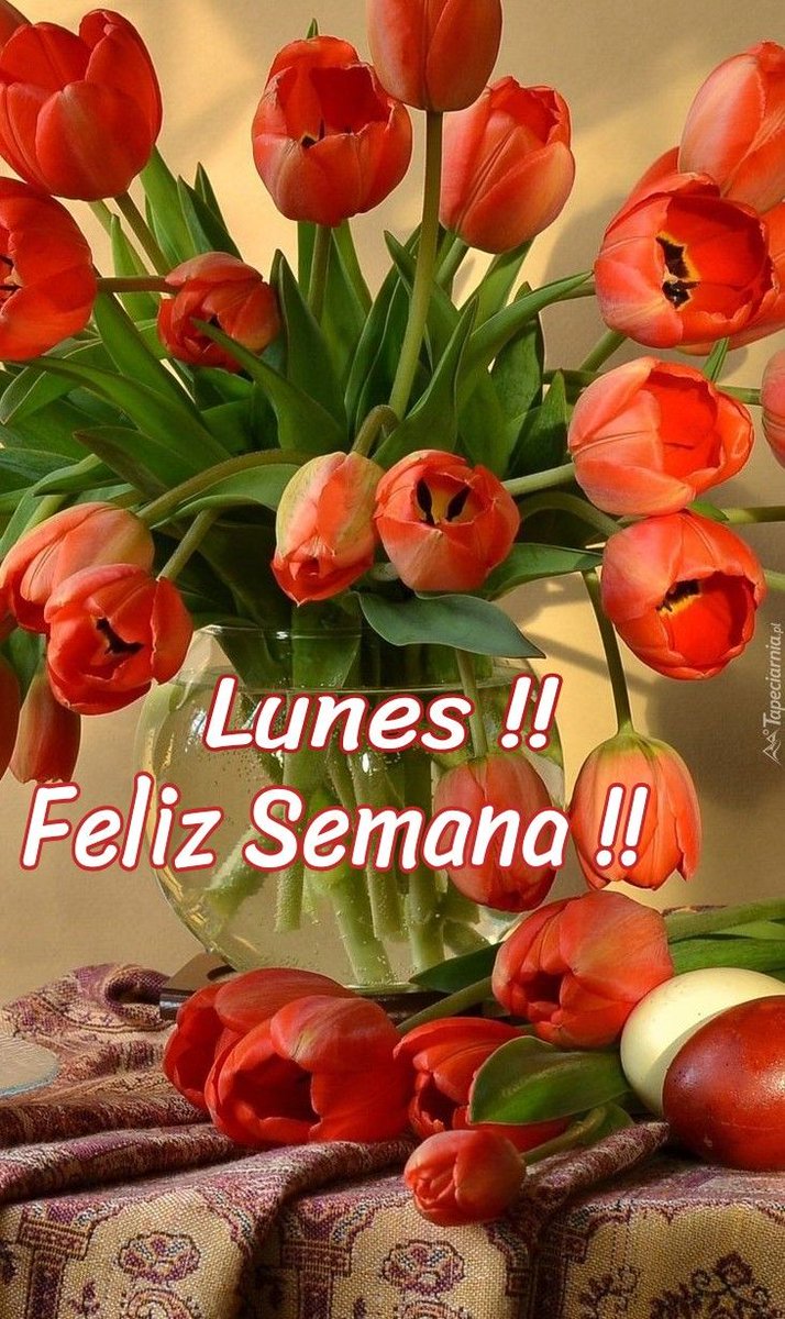 Vitor Alves🇪🇸❤️ (@vitoral23547606) on Twitter photo 