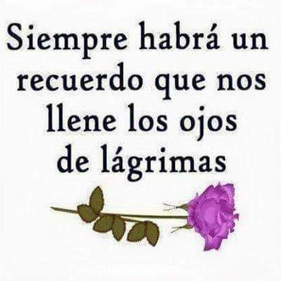 Vitor Alves🇪🇸❤️ (@vitoral23547606) on Twitter photo 