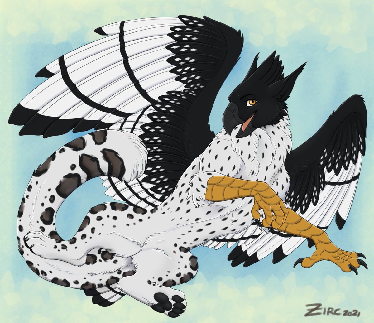 kebab gryphon tweet media