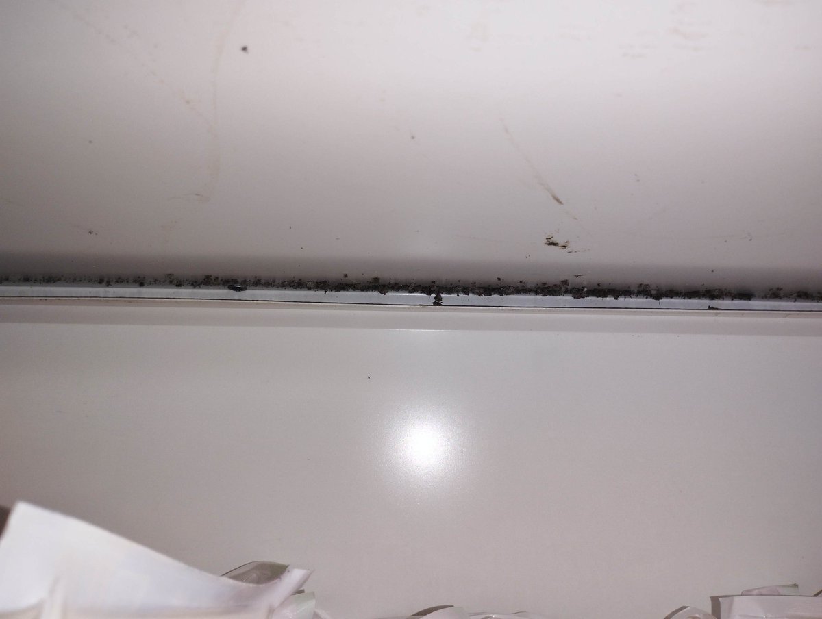 ImonBanerjee12's tweet photo. @AdityaBirlaGrp it very annoying when you open your More Store and forget to turn on the A/C and make the customers suffocate in the name of cost cutting, and store manager Mr. Muktinath is unable to understand the problem 
And the images show moulds in the fridger
Happy Diwali https://t.co/JNcpwoPS7f