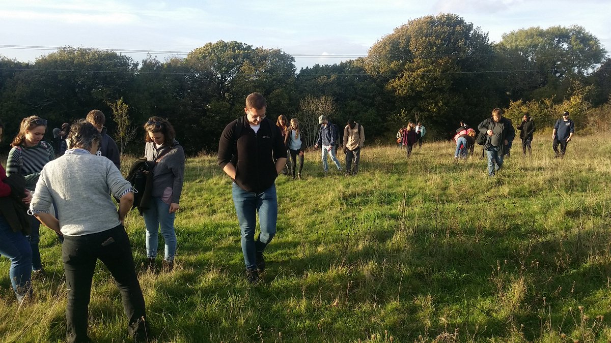 Prysor Williams tweet media