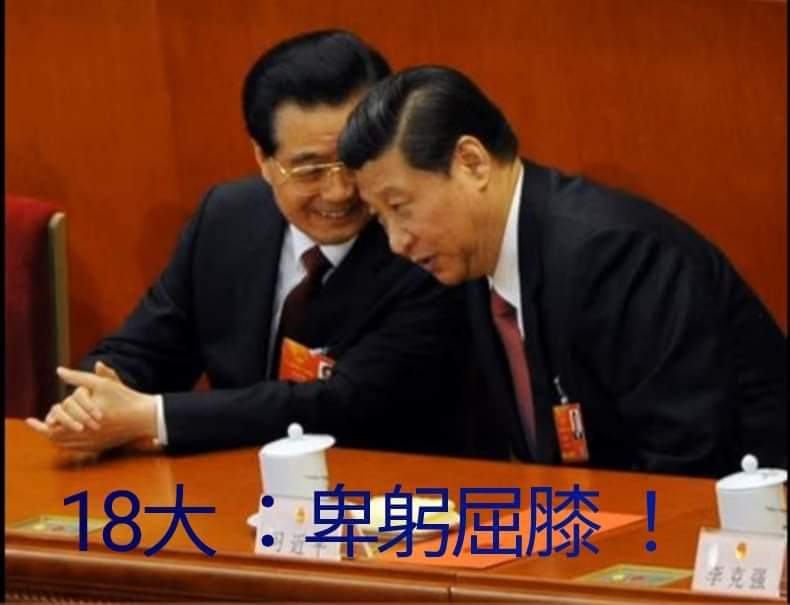 caojitw's tweet photo. 習近平上位前夾着尾巴、低頭哈腰、卑躬屈膝地做人，上位後則高步闊視、目空一切、陰狠毒辣，實足的一個小人。由這種小人獨裁統治殘害中國，是中國人之不幸，確是世界之大幸。 https://t.co/qVVg2zlRIT