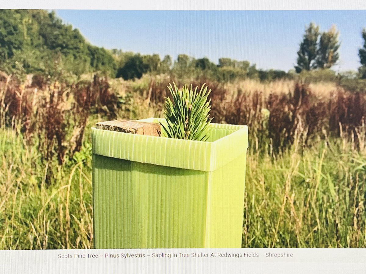 checkmate.uk.com tweet media